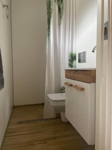 a bathroom with a toilet and a white shower curtain at Apartment AliS in Tønjum