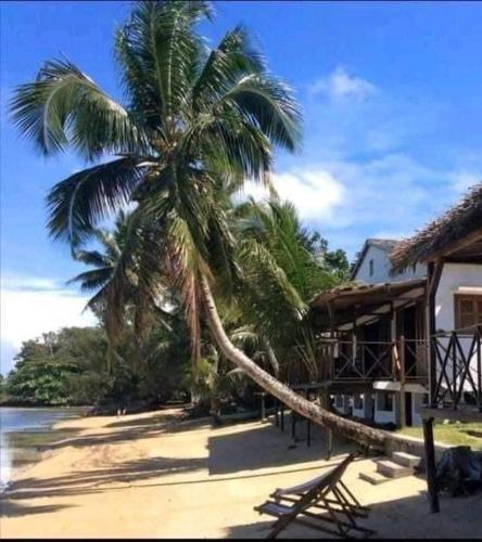 Landskap semula jadi dekat dengan vila ini