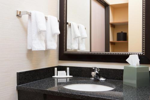 een badkamer met een wastafel, een spiegel en handdoeken bij Comfort Inn & Suites Olathe - Kansas City in Olathe