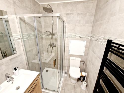 a bathroom with a shower and a toilet and a sink at AU BON PLAN in Maubeuge