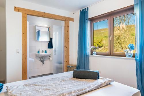 a bedroom with a bed and a window and a sink at Pension am Hohberghof Dielheim in Dielheim