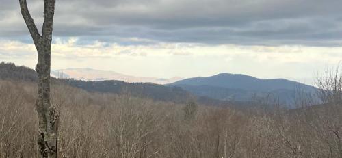 a view of a mountain range with a tree at Shawnee Ridge Lodge in Banner Elk