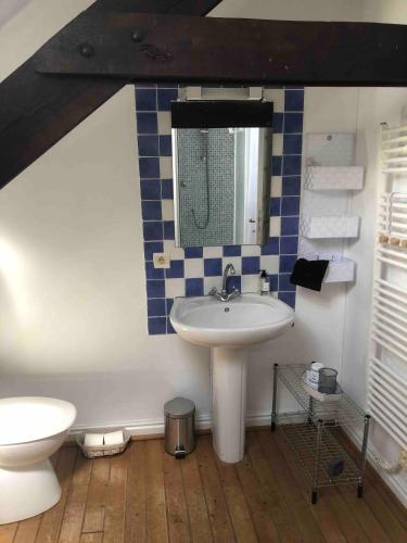 une salle de bain avec un lavabo et des toilettes dans l'établissement Bakers Cottage near broceliande forest, à Mauron