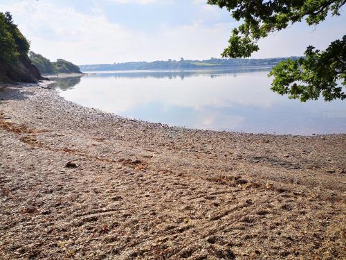 a rocky shoreline with trees and the water at Bretagne FeWo Hortensia für 2 Personen, no Kids in Loperhet