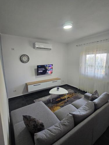 Una sala de estar con un sofá y un televisor en Vila Eriona, en Baks-Rrjoll