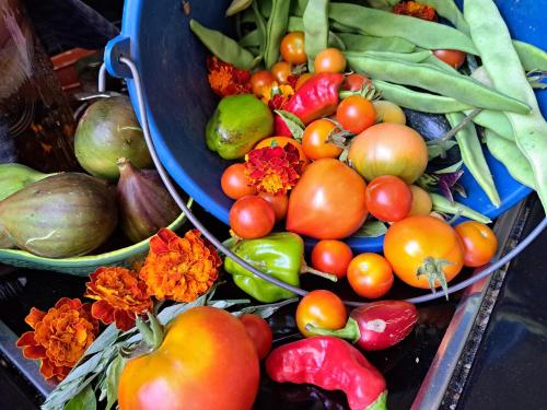 Mad på bed and breakfast-stedet eller i nærheden