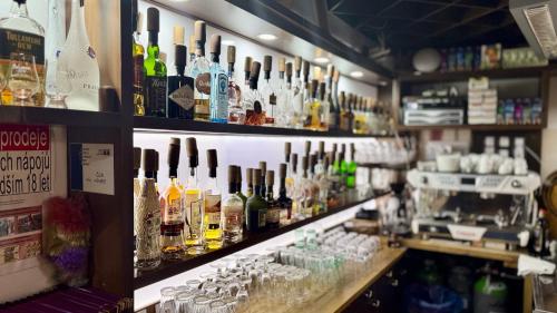 a bar with a lot of bottles of alcohol at Hotel Berg in Staré Splavy