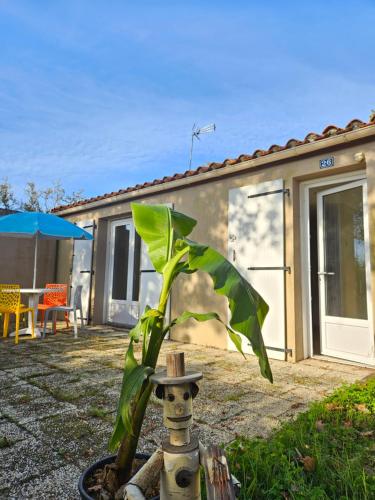 Joli Cottage Confort 1 chambre en forêt au Village Vacances