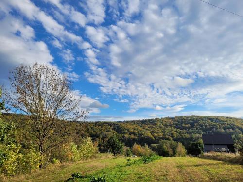 Příroda nedaleko apartmánu