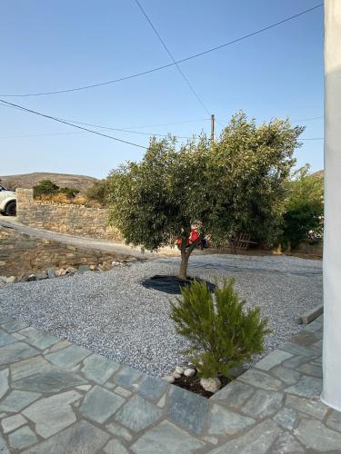 a tree in the middle of a gravel driveway at Lizzy's Escape 1st floor in Kampos Paros