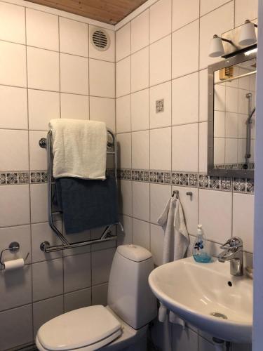 Koupelna v ubytování Holms Heagård