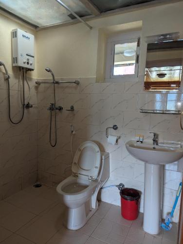 a bathroom with a toilet and a sink at Lukla Himalaya Lodge in Lukla