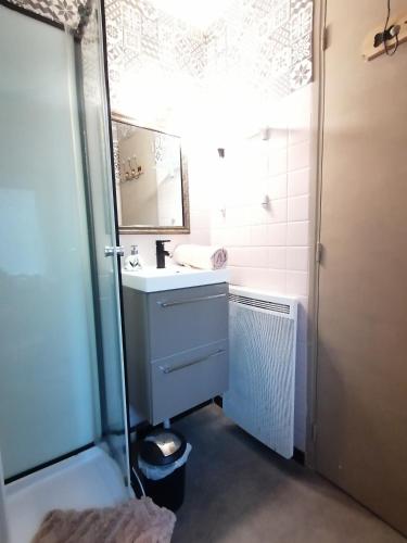 a bathroom with a sink and a mirror at L'atelier des rêves, balnéo, lit rond, centre-ville in Lunéville