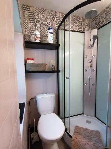 a bathroom with a toilet and a shower at L'atelier des rêves, balnéo, lit rond, centre-ville in Lunéville