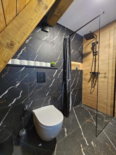 a bathroom with a toilet and a shower at Luxury Villa Mašić in Čardaci