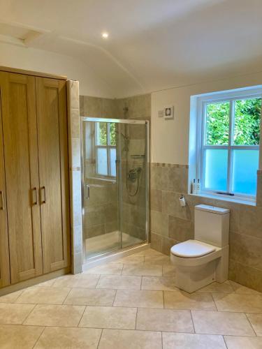 a bathroom with a toilet and a glass shower at Curragh-Ard Cottage in Newcastle