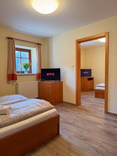 a bedroom with a bed and a television in it at Penzion Čítkův Mlýn in Šluknov