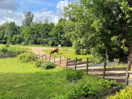 สวนหย่อมนอก Cottage w Wilderness Feeling 20 min from airport