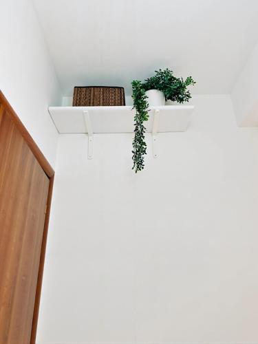 a white shelf with two plants on a wall at Appartamento con Vista Panoramica e Garage Ideale per Famiglie 4 Persone in Fiuggi