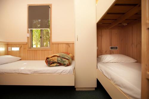 two bunk beds in a room with a window at Tasman Holiday Parks - North Star in Hastings Point