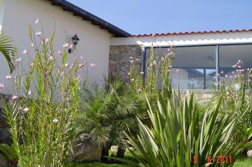 Pouso do Alferes – Photos 5