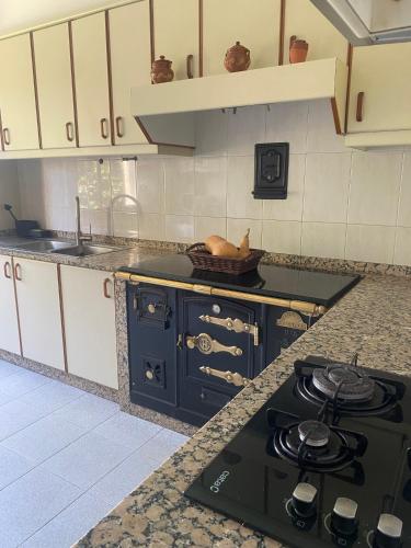 Dapur atau dapur kecil di Casa Vilamarín