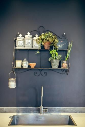 une cuisine avec évier et étagères avec plantes dans l'établissement Blue appart - centre ville - gare, à Nice