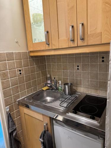 une cuisine avec un évier et un plan de travail dans l'établissement Studio cosy au cœur de Paris, à Paris