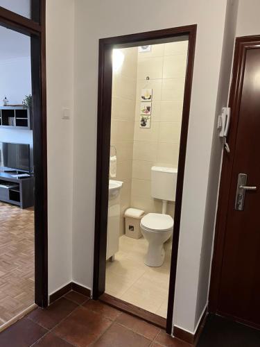 a bathroom with a toilet and a sink at Apartman Selaković in Bela Crkva