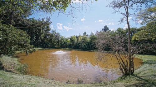 a large pond of brown water in a field at Eldorado Atibaia Eco Resort in Atibaia