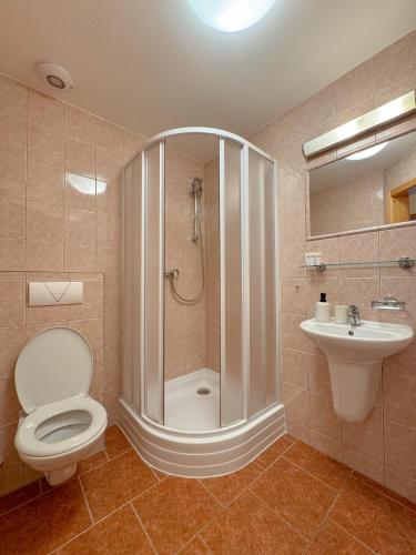 a bathroom with a shower and a toilet and a sink at Penzion Čítkův Mlýn in Šluknov