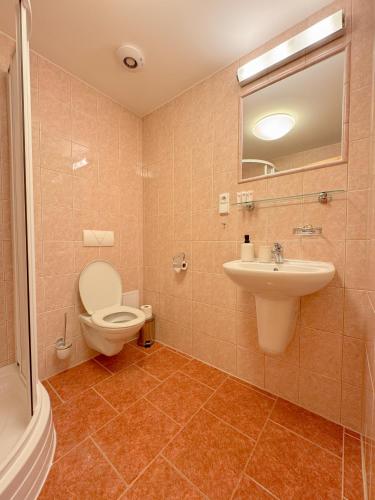 a bathroom with a toilet and a sink at Penzion Čítkův Mlýn in Šluknov