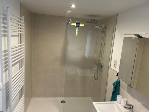 un baño con ducha y lavabo en Storchennest, en Raduhn