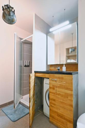 une salle de bain avec un lavabo et une machine à laver dans l'établissement Appt T2 en rez-de-jardin, au calme, à 2mn tram !, à Castelnau-le-Lez
