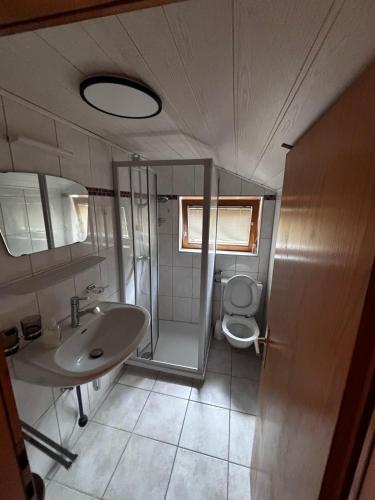 a small bathroom with a sink and a toilet at Landhaus Lerch in Gaschurn