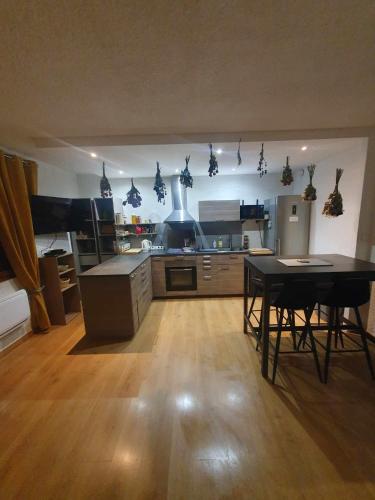 a large kitchen with a table and chairs in a room at Appartement VUE SUR LES MONTAGNES in Saint-Pierre-de-Chartreuse