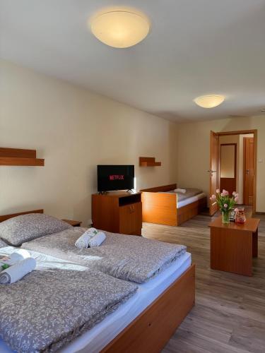 a bedroom with two beds and a flat screen tv at Penzion Čítkův Mlýn in Šluknov