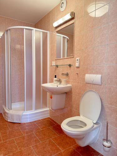 a bathroom with a shower and a toilet and a sink at Penzion Čítkův Mlýn in Šluknov