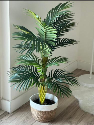 a palm tree in a pot on a floor at Modern Big Room with Balcony in New Apartment in Montijo