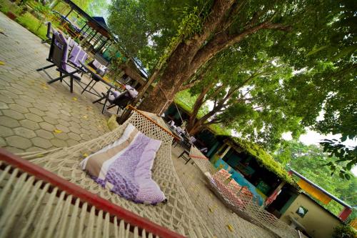 Chitwan Gaida Lodge - Animal Lovers & Birdwatchers Paradiseにある庭