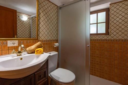 a bathroom with a sink and a toilet and a mirror at Charming villa with sea view in Puntagorda in Puntagorda