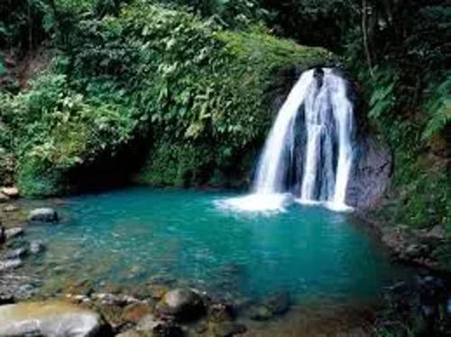 a waterfall in the middle of a pool of water at Appartement confortable à Lamentin 60 m² avec jardin in Lamentin