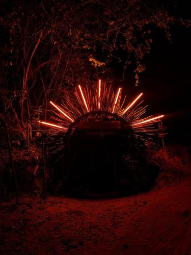 a circle of lights in the dark at Miterio Mundo Nuevo in Minca