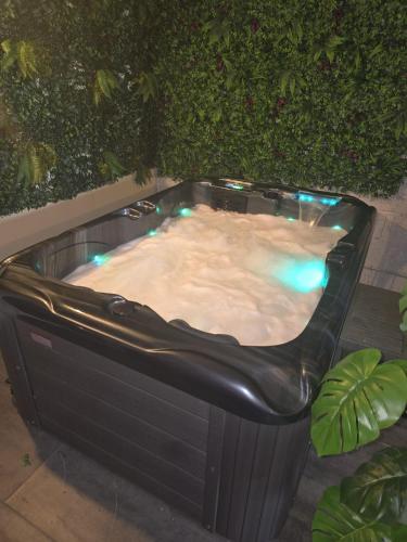 a hot tub sitting on the ground next to a plant at Les chambres de la Vallée Cachée in Callac