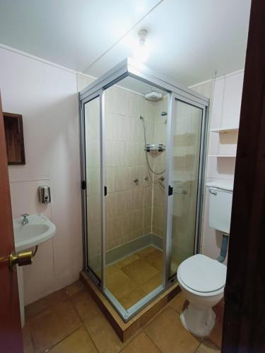 a bathroom with a shower and a toilet and a sink at Hostal & Cabañas Don Juan in Villarrica