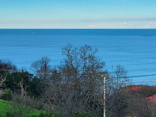 a view of a large body of water at Vista Alegre in Zarautz