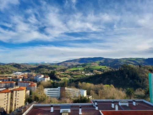 a view of a city with mountains in the background at Vista Alegre in Zarautz