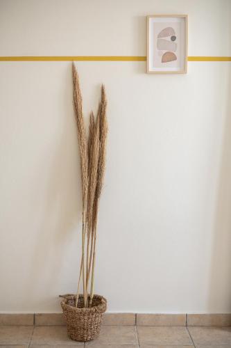 a plant in a basket against a white wall at Artemis Apartments in Stalos