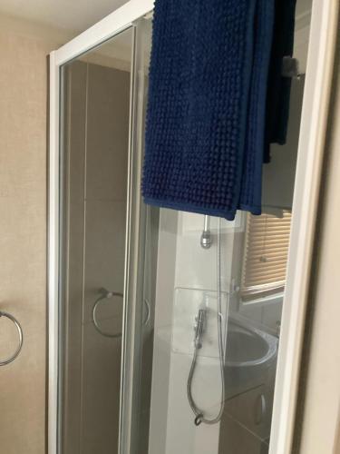 a shower with a glass door and a sink at Hoburne park Bluebell10 in Burton