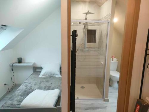 un piccolo bagno con doccia e WC di Gite du bon accueil maison de vacances a Porcaro